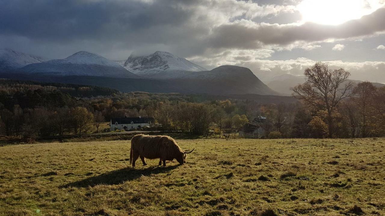 Birch Lodge Fort William Exteriör bild